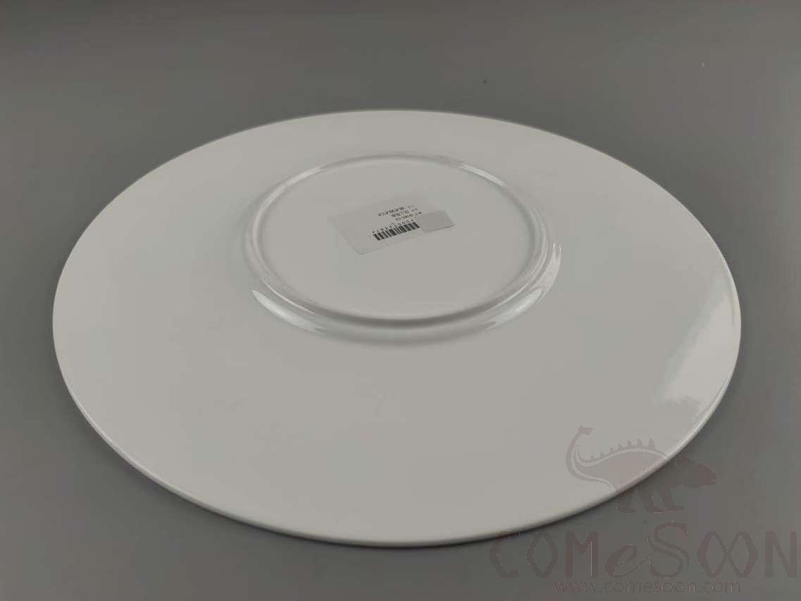 G161 Series 12&quot; Plate