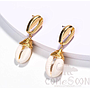 Earring / Dangler / Eardrop / Jewelry  NE315