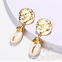 Earring / Dangler / Eardrop / Jewelry  NE316