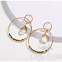 Earring / Dangler / Eardrop / Jewelry  NE325