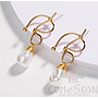 Earring / Dangler / Eardrop / Jewelry  NE328